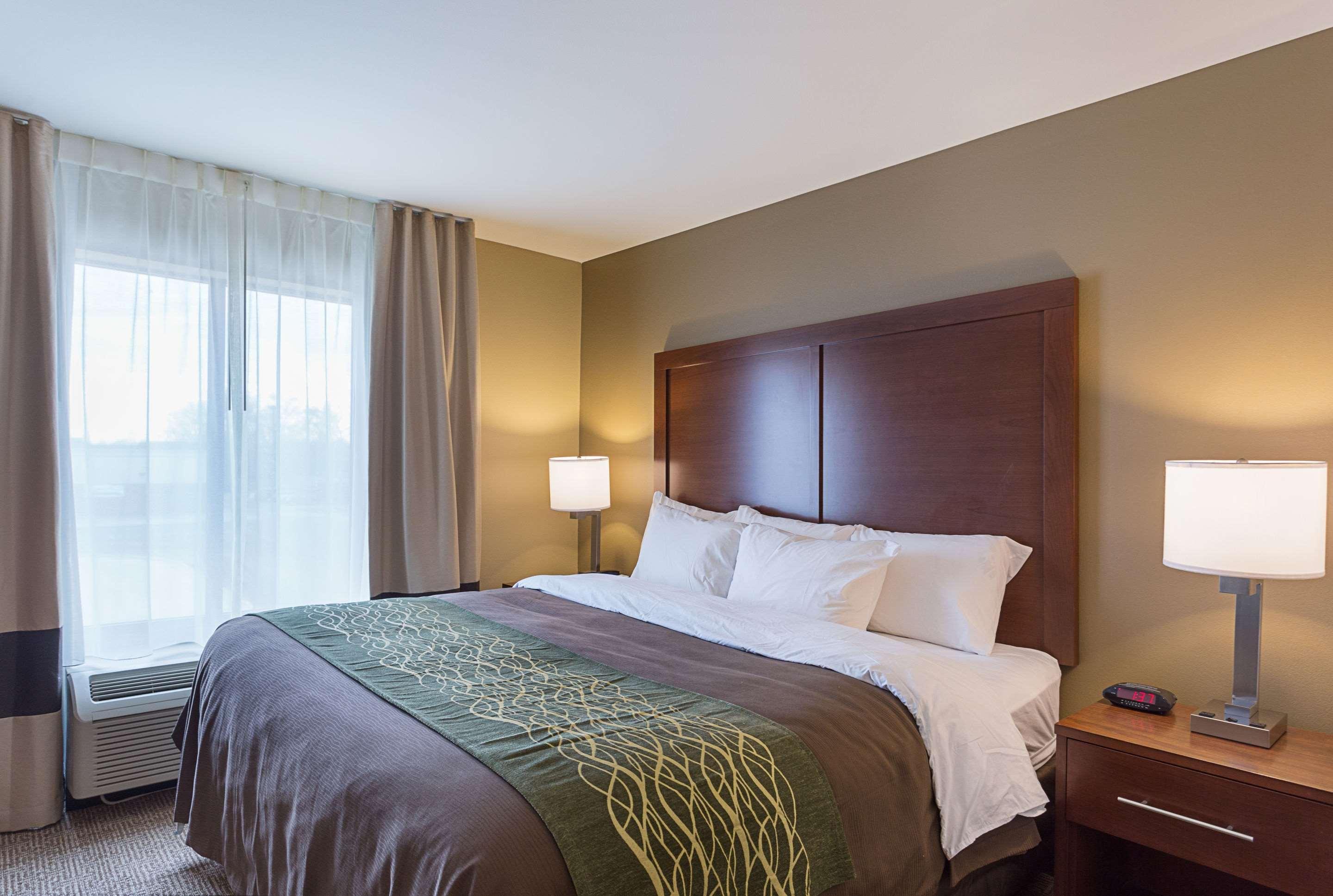 Comfort Inn & Suites Zachary Экстерьер фото