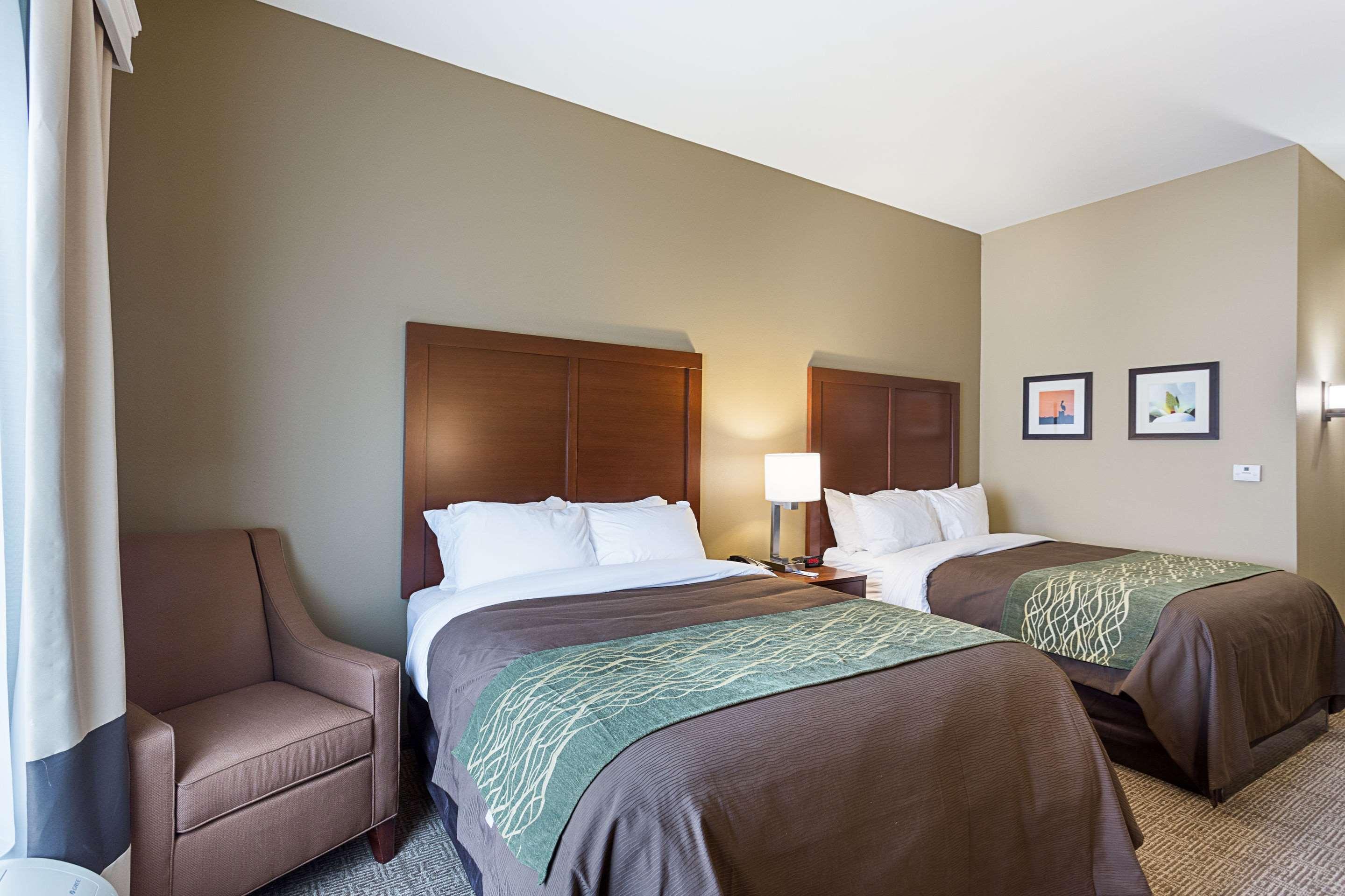 Comfort Inn & Suites Zachary Экстерьер фото